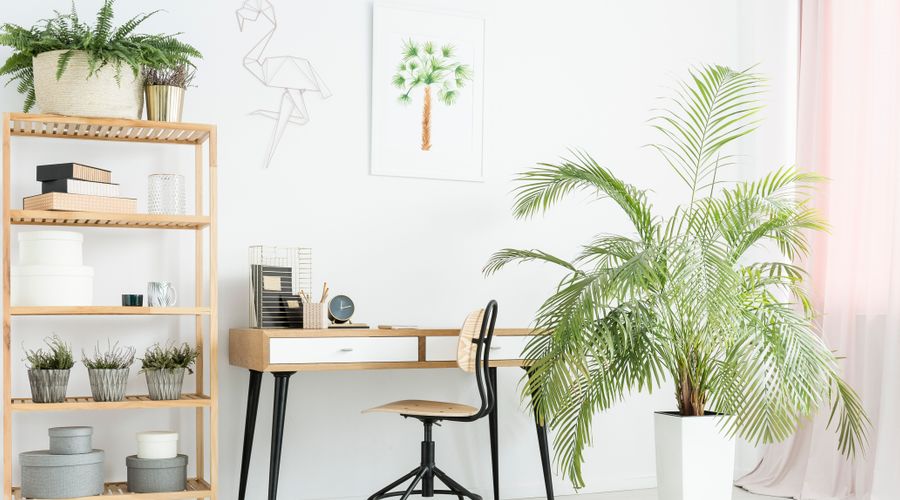 装修的甲醛怎么解决,室内装修完如何有效去甲醛