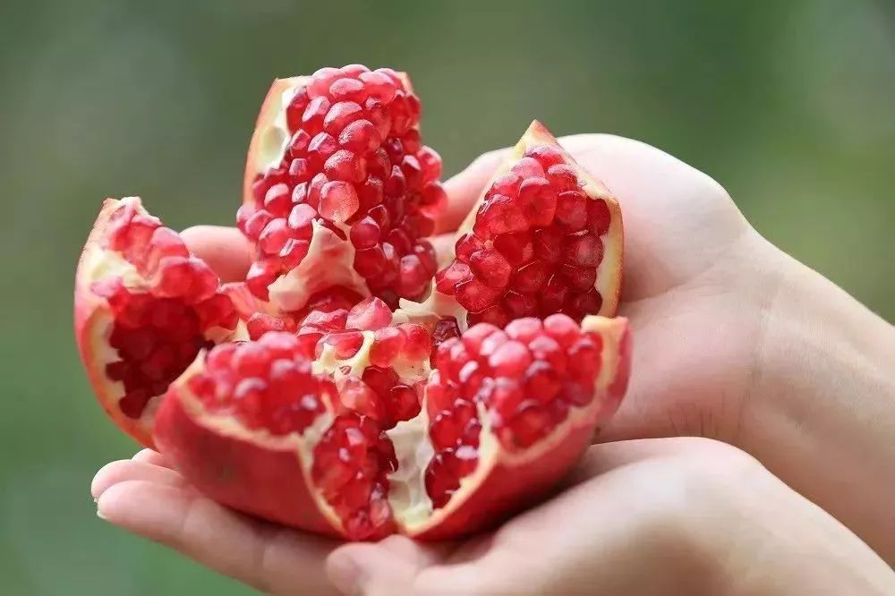 蒙自石榴现状如何,农产品假冒产地如何处罚