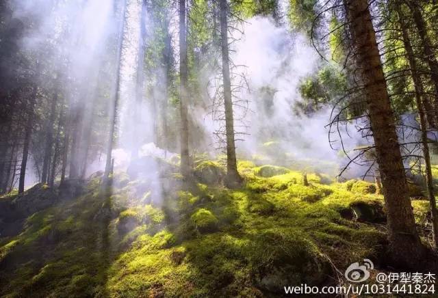 笔尖思路抒怀昭苏丨优秀作品展《夏塔怀想》