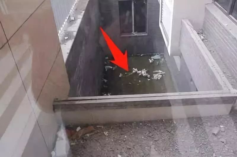 预防登革热时刻在行动,科普清理小积水防控登革热