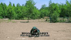 国防在线军训第一课,国防在线训练视频