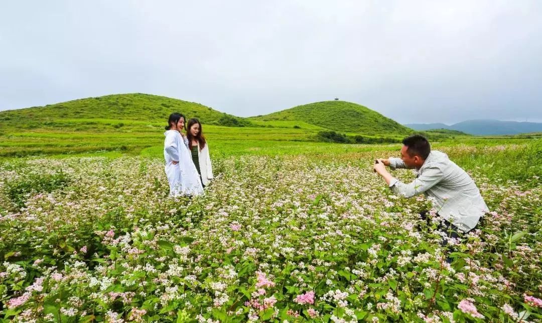 记忆里的昆明,昆明荞酒