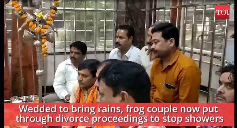 印度人为了求雨给青蛙办婚礼 (印度青蛙办婚礼求雨)