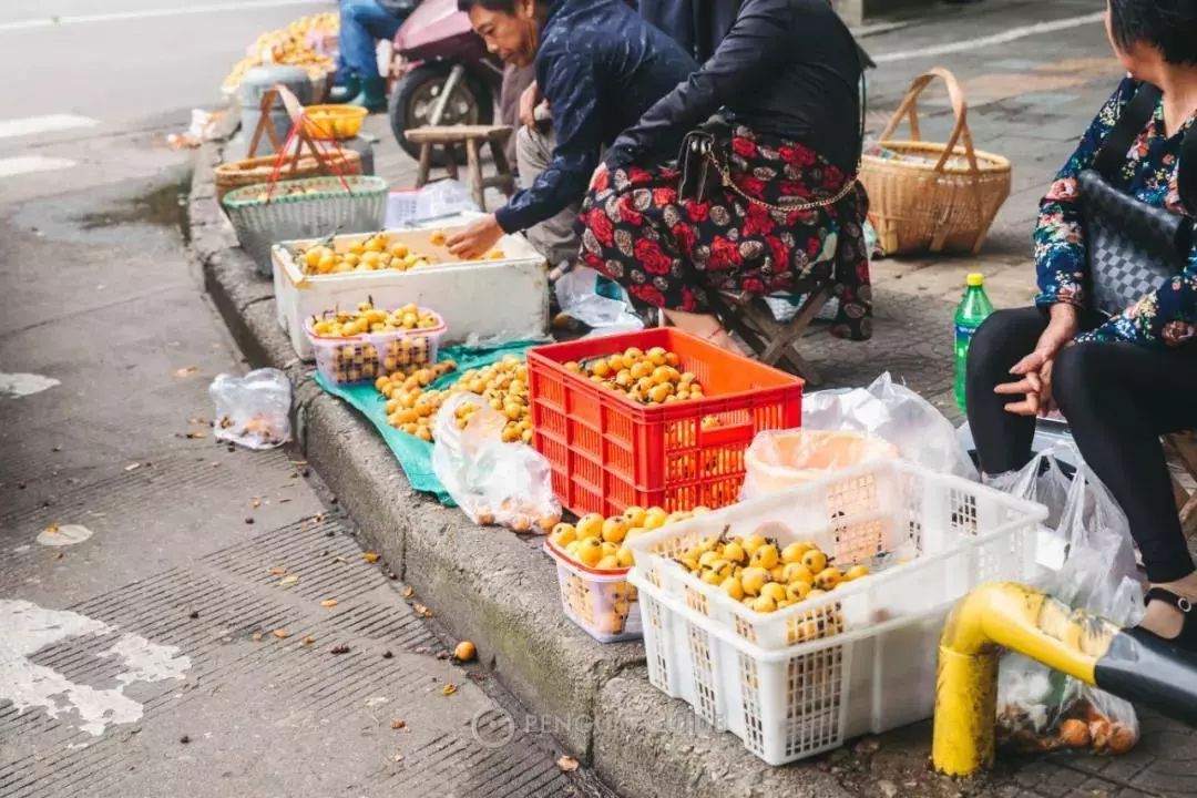 江南古镇十大必吃美食,江南古镇特色美食有哪些