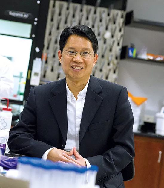 PNAS：抗癌新突破，UTA科学家使用纳米颗粒杀死癌细胞