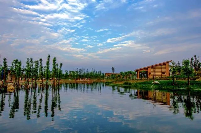 什邡，我想和你谈一辈子恋爱