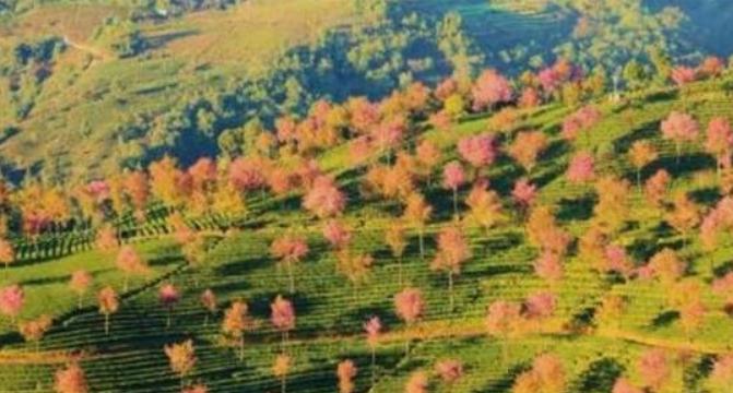 玉溪十大旅游景点，风景太美了，你去过几个