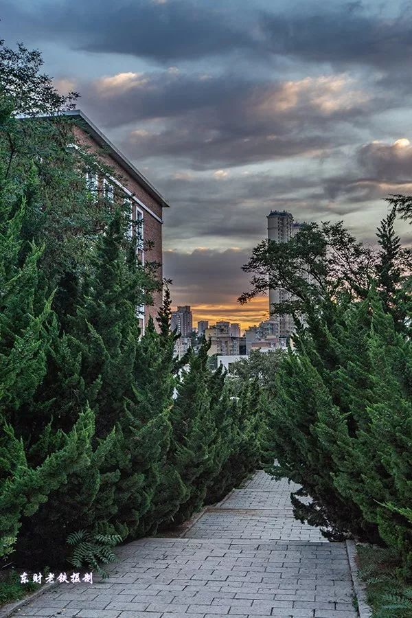 东财大学校园生活,东财校园实景图