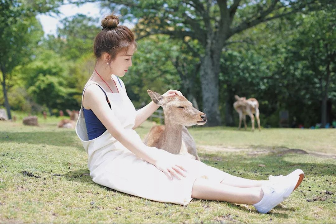 去日本旅游不知道买什么,去日本买jrpass合适吗