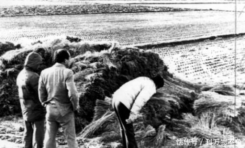 《杀人回忆》原型丢失“杀人记忆”不能被判刑？一文读回顾“华城连环杀人事件”始末细节当年现场惨烈图曝光