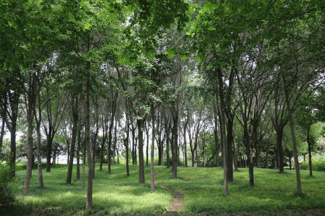 大局已定此事必成,大局已定扭转乾坤