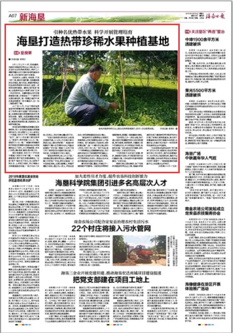 尖蜜拉、妈咪果、巧克力布丁果…没听过不要紧，来这里开眼界涨知识