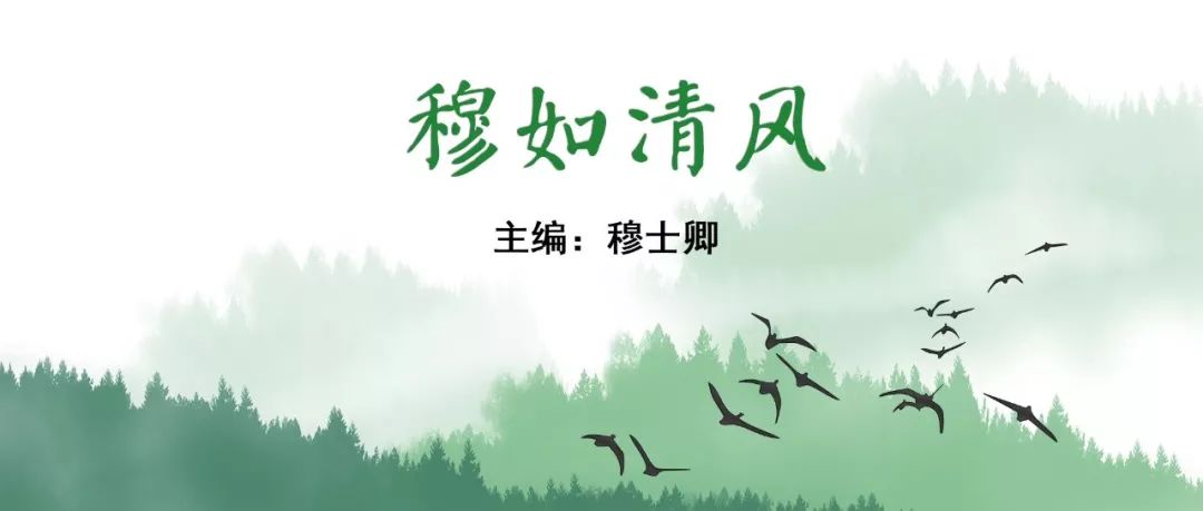 穆如清风·第13期｜Tubridge治疗基底动脉巨大夹层动脉瘤