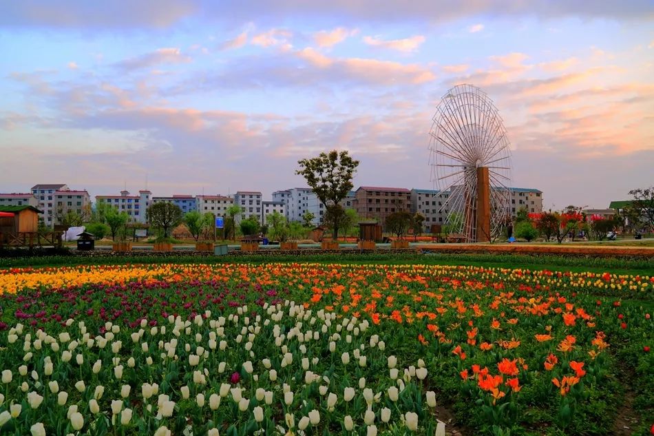 义乌的标志性风景有哪些,太美了古城风景