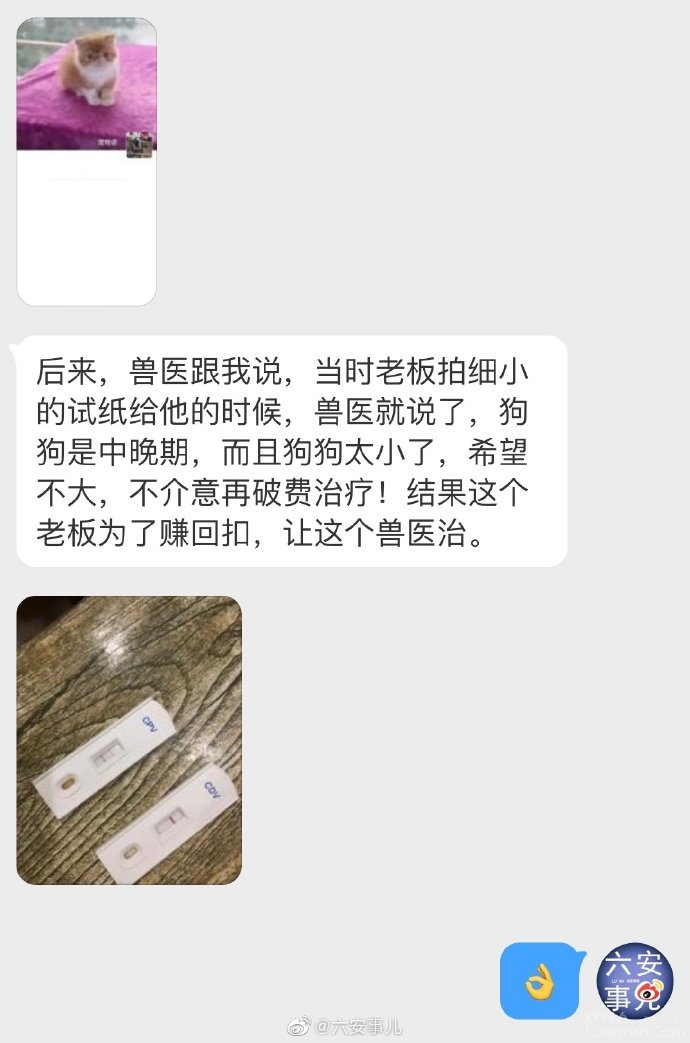 怎么看一家宠物店正不正规,怎么看宠物店有没有坑你