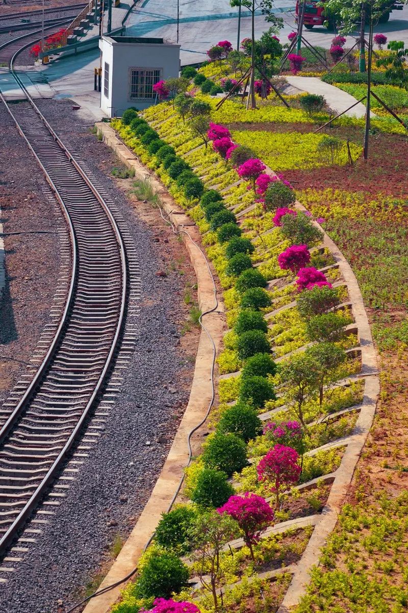 壮丽70年奋斗新时代的相关资料,攀钢发展历程