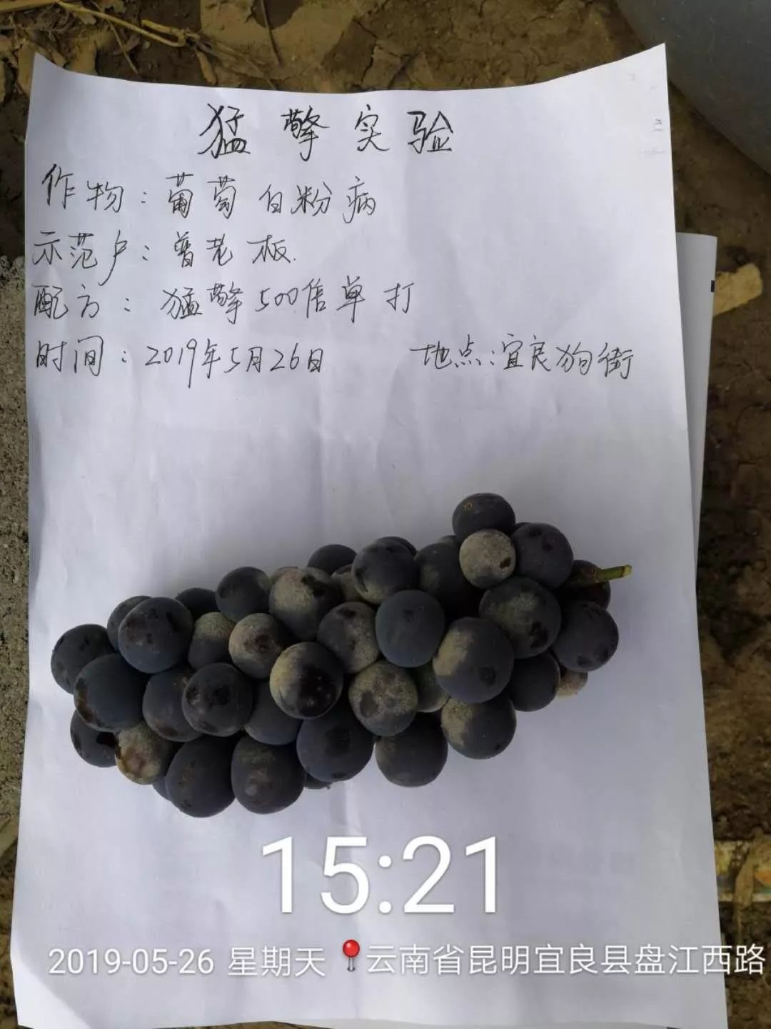 强力除青苔,除青苔的好处