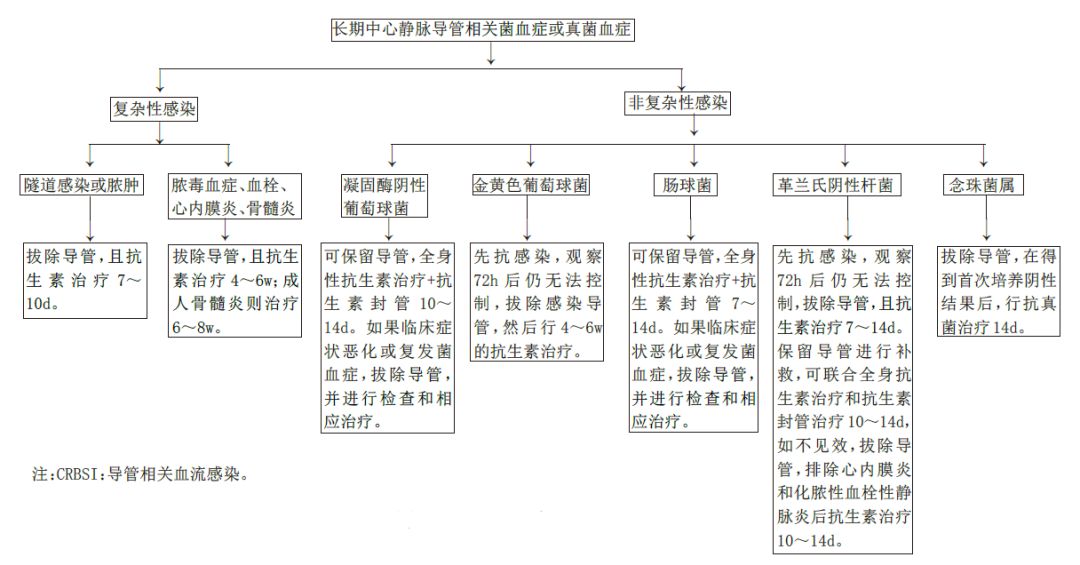 血液透析长期导管感染如何处理,血液透析导管感染相关原因