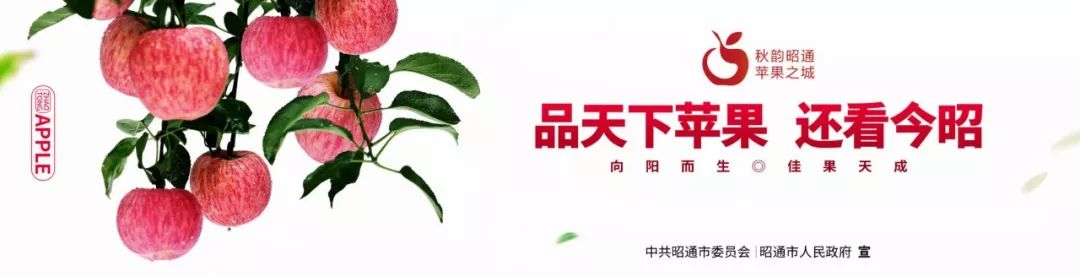 神经内科专家出诊预约,神经内科周围神经病知名专家