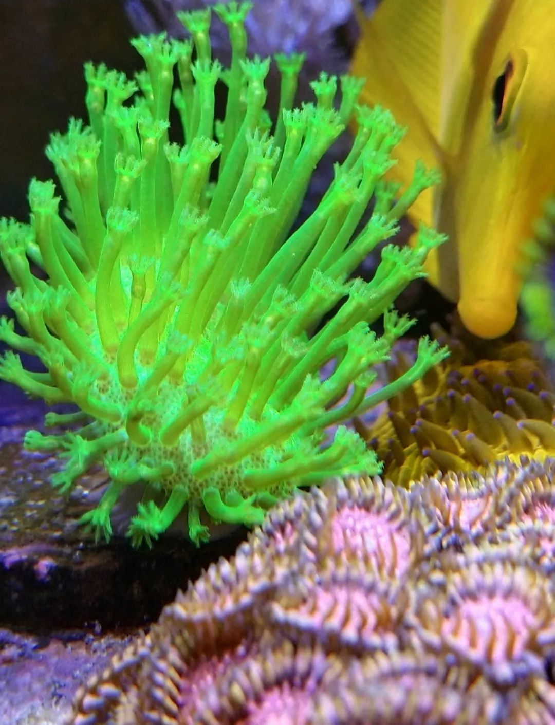 40小缸全套,40的方缸用多大的过滤桶