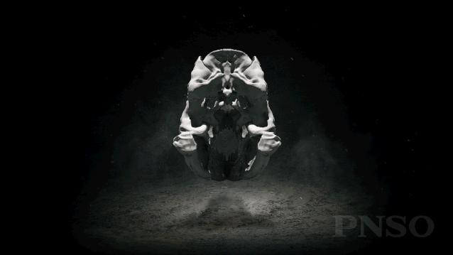 PNSO×化学工业出版社恐龙文创产品摩点众筹上线：寻找消失的恐龙，就是寻找消逝的童年