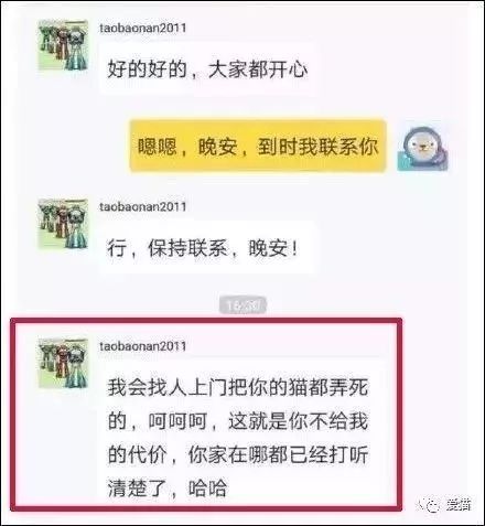 国内外宠物领养问题有哪些,很好的宠物为什么免费领养