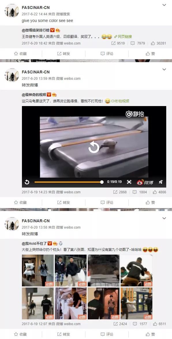 因为卖山寨……她被粉丝diss惨了