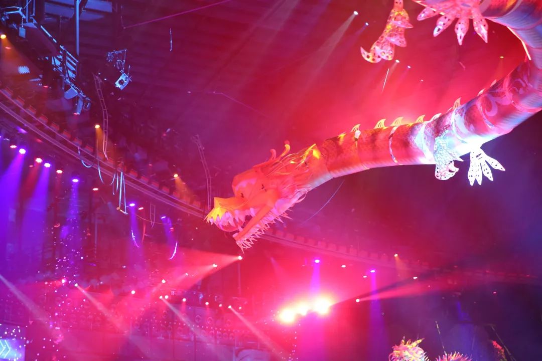 珠海|Onenightin珠海，你为了什么会留下来？