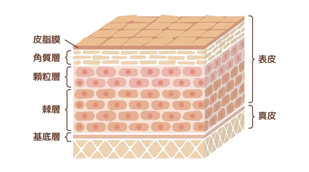 毁脸的100个小妙招,这些毁脸的傻事千万别在脸上做
