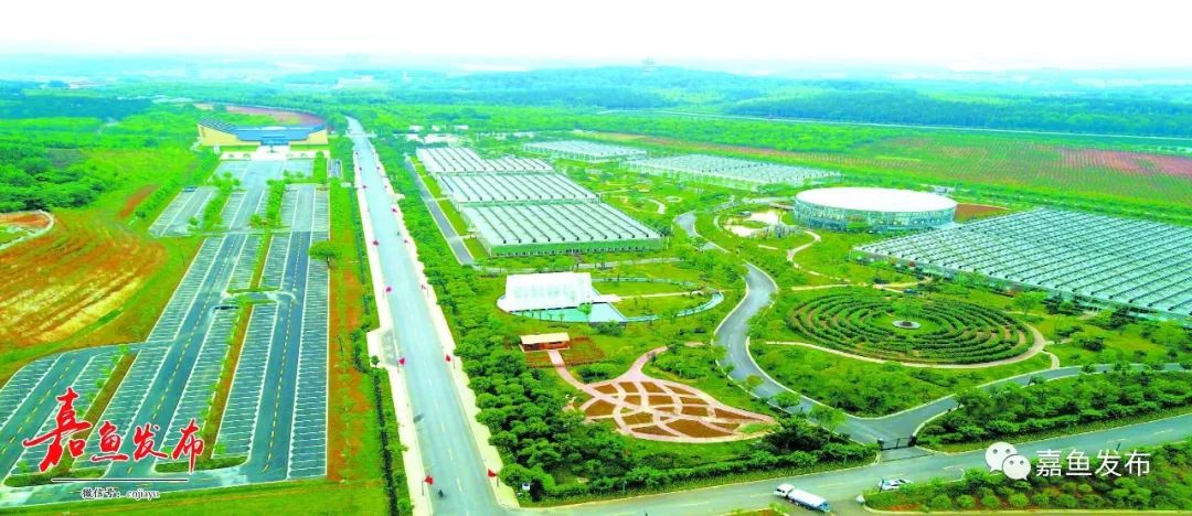 嘉鱼70年巨变，你体会到了吗？