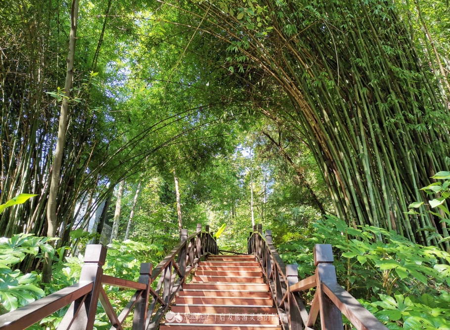 张家界森林公园旅游住宿,张家界森林公园自由行住宿推荐