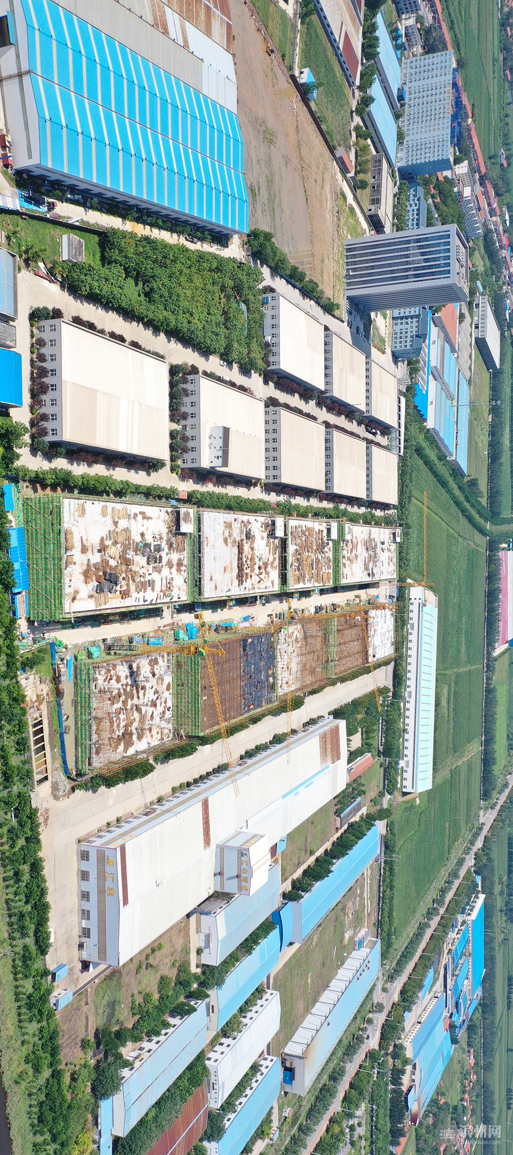 飞越滨州高新区：改革先行区厚植沿黄“城市之肺”