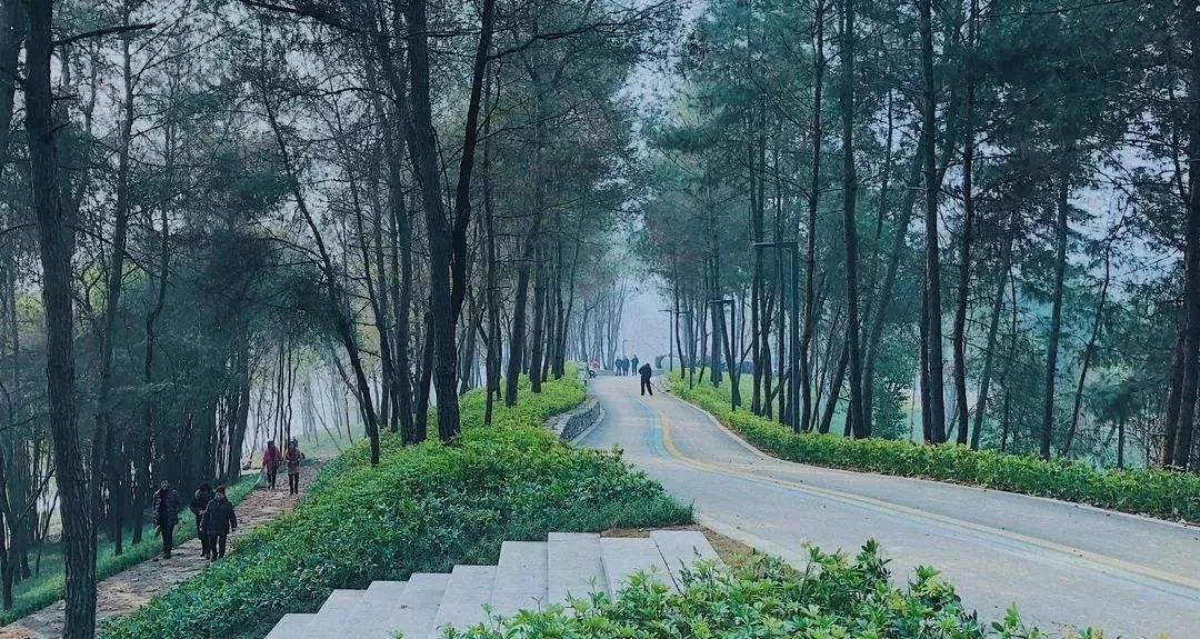 成都双流区旅游省钱攻略推荐,五一在双流适合去哪旅游