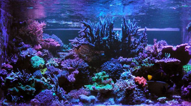 sps哪家更实用,sps怎么操作