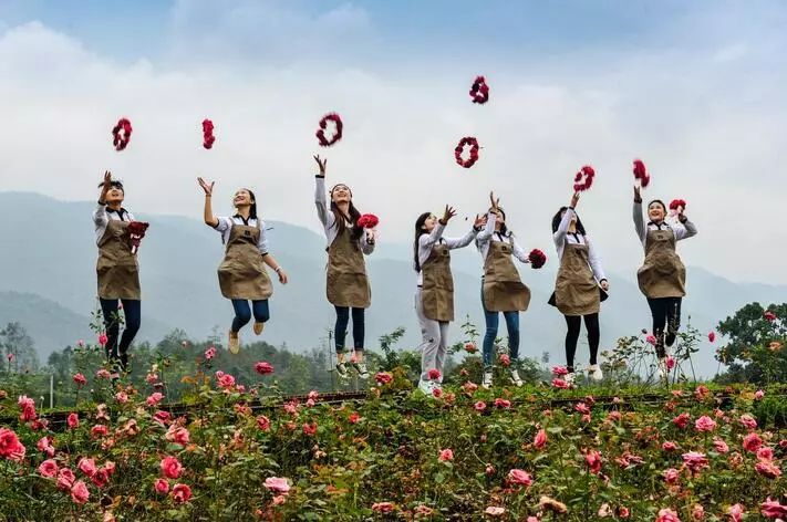 今年十一假期免门票的景点,十一假期景区免门票