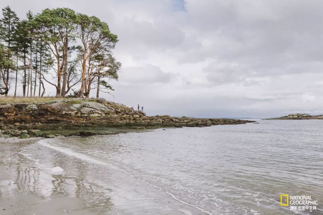 去加拿大必去景点有哪些地方,在加拿大10月中旬旅游地点推荐