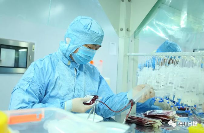 宝宝的脐带血可以治疗癌症吗,脐带血能治恶性肿瘤母细胞瘤吗