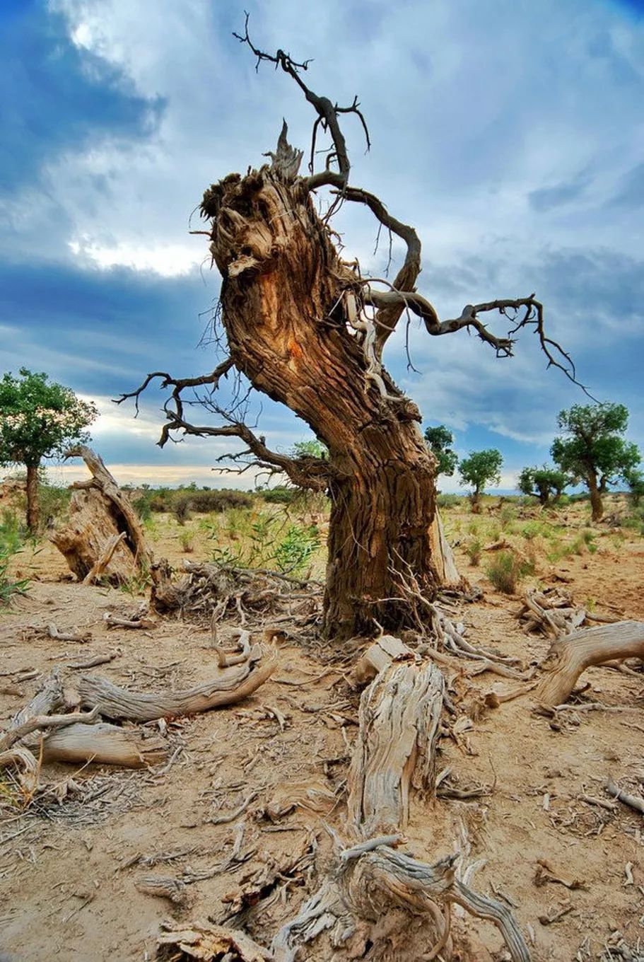 选好出行路线,选日期出行