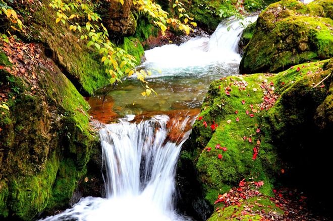 秋游景点一日游推荐,武汉去神农架赏秋攻略