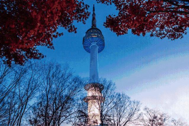 风疹麻疹吃什么药,去日韩旅游攻略