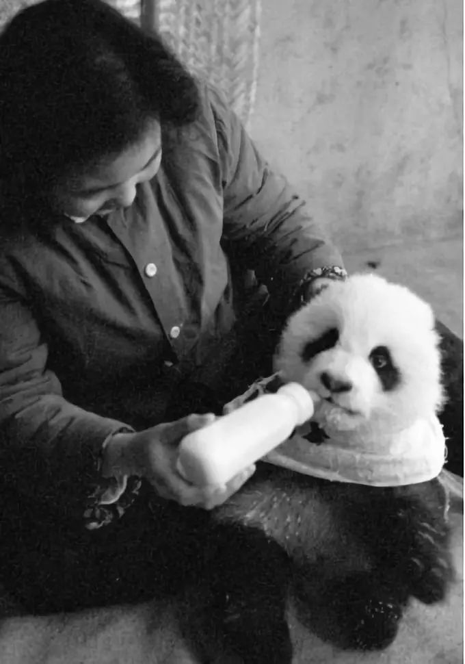 中国四川第一工程,四川第1届创新创业大赛