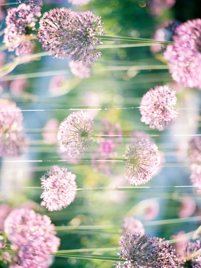 相机质感拍摄技巧,拍照片怎么拍出氛围感水雾