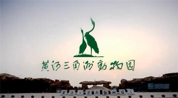 东营黄河入海口景区国庆,东营国庆花仙谷