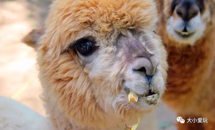 北京必去12个地方旅游攻略,北京小众省时游玩攻略