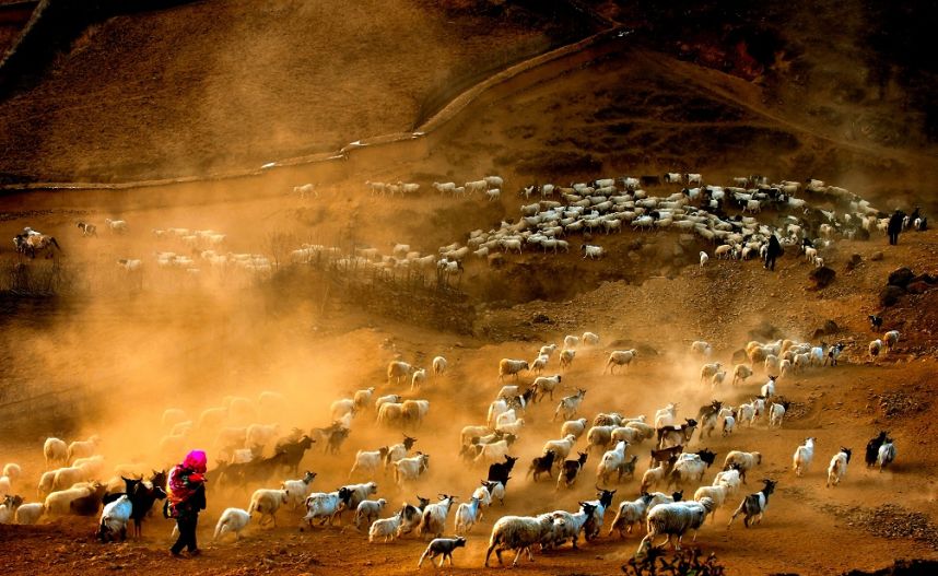 中国梦70周年绘画图片,70周年中国梦绘画作品图片