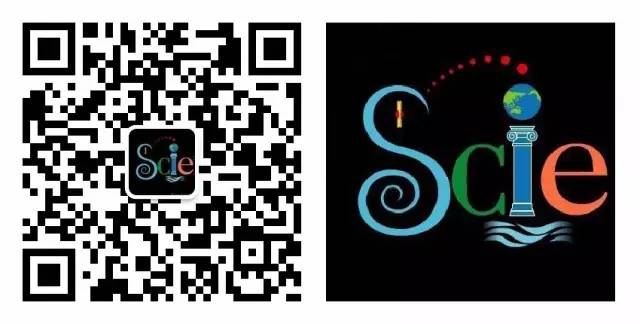 节食减肥饥荒效应,节食减肥饥荒