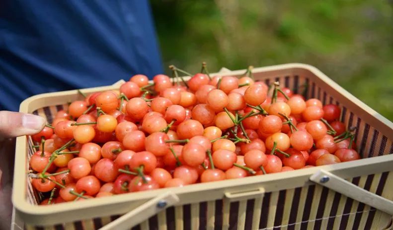 盛世如愿缅怀先烈|来浙里办文旅专区寻一条红色旅游线路，出发！
