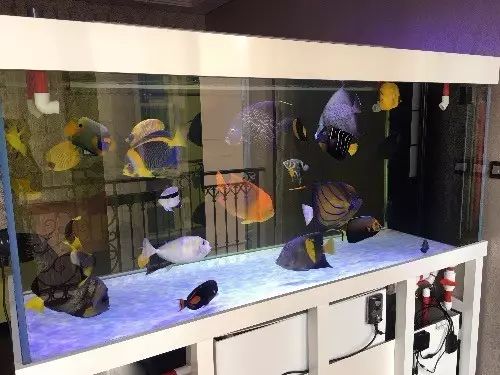 fot多大缸,fot高缸