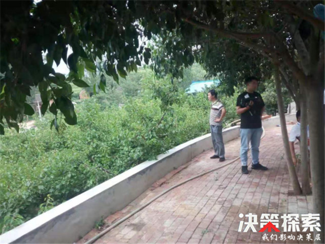 内乡县赵店乡核桃,樱桃熟了农民笑了视频