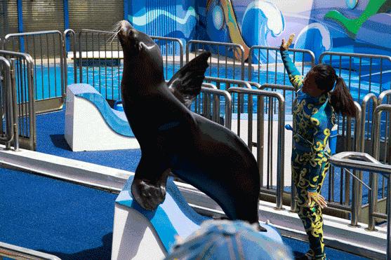 十一专辑|盘点文旅行业七大“有趣”职业，玩着玩着就把钱挣了～